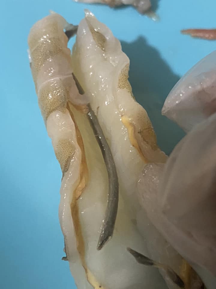 Fresh prawns being cleaned and deveined under cold water to remove residue and enhance appearance and taste