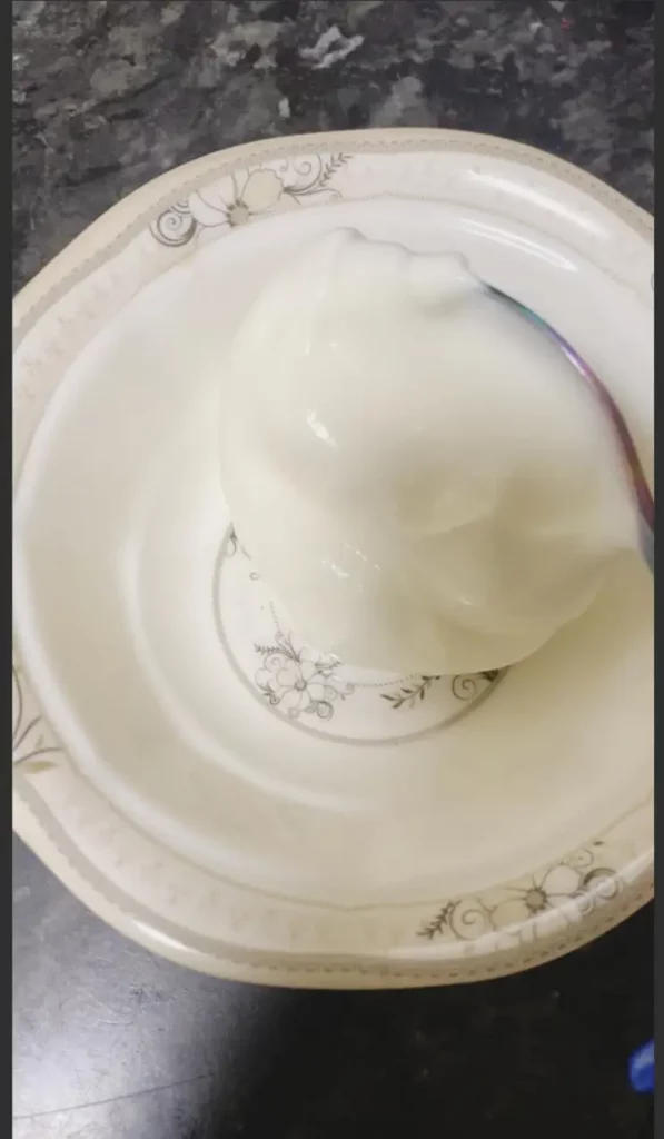 Plain yogurt being placed into a serving bowl as the base for the parfait.